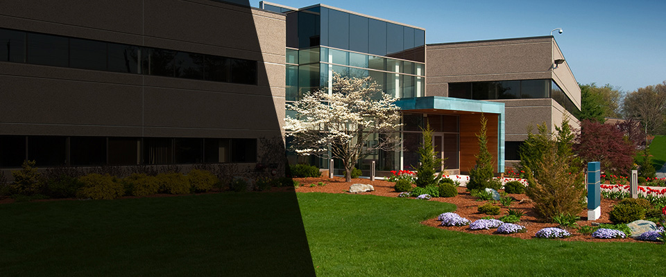 Alexander Landscapers