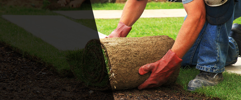 Alexander Landscapers